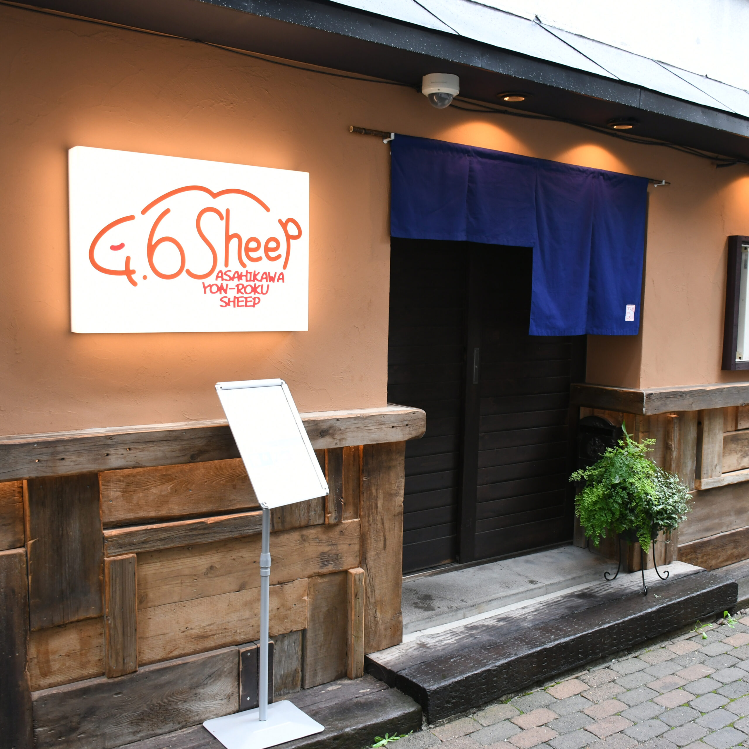 4.6Sheep